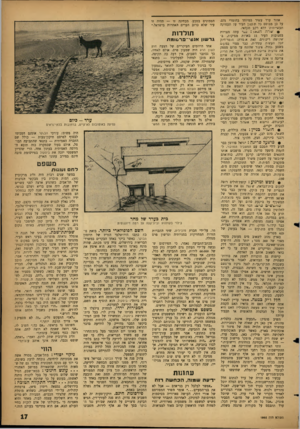 העולם הזה - גליון 1302 - 22 באוגוסט 1962 - עמוד 17 | אזור ערד עשיר במיוחד בחומרי גלם. על כן מבוסס כל ת כנון העיר על תעסוקה תעשייתית׳ ללא רקע חקלאי. רה הגי< : 1כבר עתה מצויות בסביבות העיר 11 בארות מפיקות, בשלושה