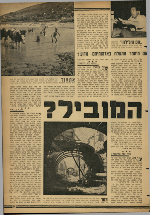 העולם הזה - גליון 1302 - 22 באוגוסט 1962 - עמוד 9 | עראבה מתון בהרבה מסכנין. תושבי ערא־בה, אשר ברשותם כ־ 10 אלפים דונם בעמק, נדרשו לסלק את ידם מ־ 600 דונם הדרושים לצרכי המוביל הארצי. בעלי 200 דונם מתוך ה־ 600