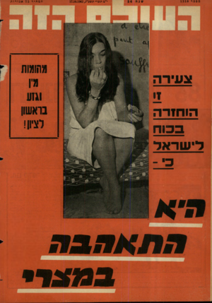 העולם הזה - גליון 1310 - 17 באוקטובר 1962 - עמוד 24 | מספר 1310 י״ט תשרי־ תשכ״ג17.10.1962 , וגעידה זן הוחזרה בכוח לישראל המחיר