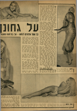 העולם הזה - גליון 1314 - 14 בנובמבר 1962 - עמוד 14 | וט באכי־ראש אינם צפויים הפעם לניצב שלום ירקוני. שום צייר־מחשפות. שום ביקורים אינטנסיביים ממושבים בהצגות סטריפטיז, על־חשבון האומה, במטרה לאסרן — רק עם תום