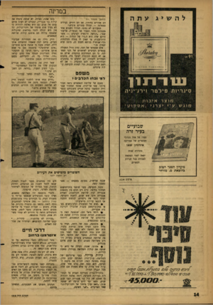 העולם הזה - גליון 1315 - 21 בנובמבר 1962 - עמוד 14 | במרינה (המשן מעמוד 1ו) הם אסורים בחיתון, אם הם דתיים, פעילים במפלגה — ובכלל בחורים טובים.״ הצעירים לא נסוגו. הצהיר השבוע אחד ממנהיגי הדור הצעיר של המפד״ל,