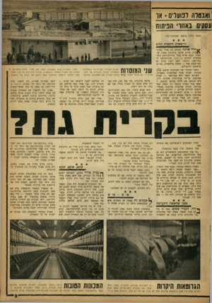 העולם הזה - גליון 1327 - 13 בפברואר 1963 - עמוד 9 | ואבטלה לפועל!,נו* או עסקים באזורי ווניתוח העסק נידון מראש לפשיטת־רגל.״ גרוטאות הופכות לזהב ^*חרי אותה השיחה בין מנור ופלקו־ \ £בי ץ, אירגן שלמה פלקוביץ באמת