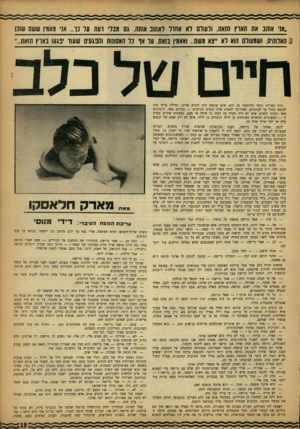 העולם הזה - גליון 1329 - 27 בפברואר 1963 - עמוד 19 | .אני אוהב את חאוץ חואח, ולעולם רא אחדד לאהוב אותה9 0> ,נל דעת ווי נו ...אני מאמין ששס שונן נ הארור׳ .ושמעורם הוא רא ״צא משם ...ואאמין בזאת. ער אף נר האסונות