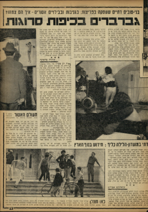 העולם הזה - גליון 1330 - 6 במרץ 1963 - עמוד 13 | בני־שביס דתיים שעסקה בפריצות, בגניבות ובבירו״מ אסורים -איך הם צמחו? ג בר ברי בסיבות סרוגות בילתה ב כ לי ף. אפשר היה לזהותם כדתיים רק בגלל עתוגאי, העובד בין
