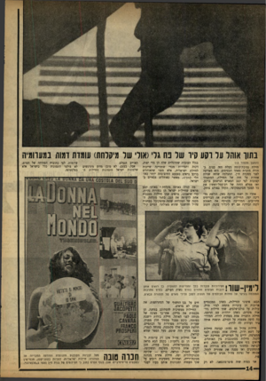 העולם הזה - גליון 1332 - 20 במרץ 1963 - עמוד 14 | בתוך אותר ער וקע קיו שר נח גרי(אור׳ שר מיקלחת) עומדת רמוה במערומיה (המשן מענווד )13 חיילת נמוכודקומה בעלת חזר. עצום. בחורה מוכרת מאחד הבסיסים. היא מצדיעה לפני