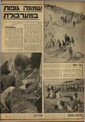 העולם הזה - גליון 1337 - 24 באפריל 1963 - עמוד 14 | במערבולת וזתישבו על כר הדשא שממול כשהם ממררים בבכי. הם לא היו יחידים שם. שעה קלה אחרי ששודרה בקול־ישראל הידיעה על האסון שאירע לתלמידות סמינר בית־יעקוב