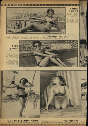העולם הזה - גליון 1349 - 17 ביולי 1963 - עמוד 24 | אסתר נקשר> היפואית למדה ב־בית-חספר הת״כון ב־ורקדה גבעת־ברנר בלהקת עלומים. היא אוהב ת בו בו ת, תכשיטים ו שמלו ת יפות. אסתר היא שחיינית ידועה ו שואפת להיות דוג