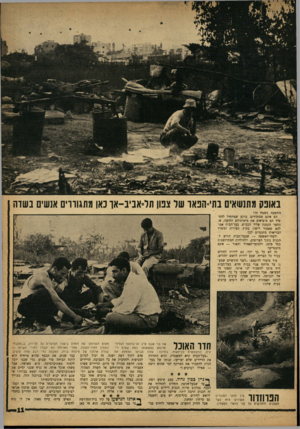 העולם הזה - גליון 1350 - 24 ביולי 1963 - עמוד 11 | באונק מתנשאים בתי־הפאו שר צנון תל־אביב-או כאן מתגוררים אנשים בשדה התשעה בשטח זה? הם אינם מסתדרים. ברגע שמתחיל להחשיך הם מוציאים את מיטותיהם החוצה, אל החצר