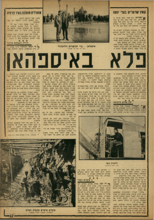 העולם הזה - גליון 1352 - 7 באוגוסט 1963 - עמוד 18 | קומץ ישראליים בעלי יוזמה מחוללים מהפכה בעיר פרסית יספהאן היא העיר היפה ביותר ביי • איראן. מזה שנה וחצי, היא גם העיר הרועשת ביותר. אין בה רחוב אחד שקט. בכל מקום