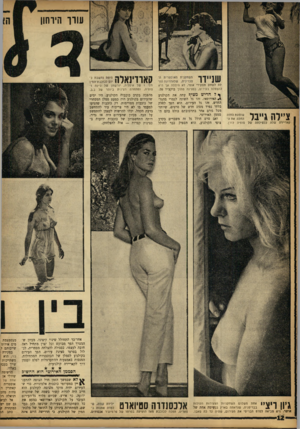 העולם הזה - גליון 1361 - 8 באוקטובר 1963 - עמוד 12 | עורו הירחון ציירה ג״בל שופעת החזה החלה את ה־קאריירה שלה ככפילתה של סופיה לורן. לה לשחק תפקידי אופי, לא היססה אך היא להצטלם בעירום, בסצינה מתוך בוקצ׳יו .70 ך ל