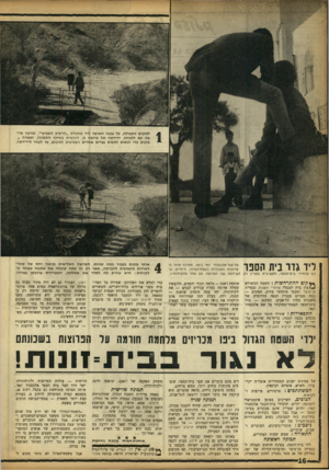 העולם הזה - גליון 1366 - 13 בנובמבר 1963 - עמוד 16 | למקום הפעולה, על גבעה חשופה ליד מסעדת ״הרקיע השביעי״ ,מגיעה פריצה עם לקוחה. ידידתה של פרוצה זו, הנראית במרכז התמונה, נשארה ^ מקום כדי לנסות לתפוס גברים אחרים