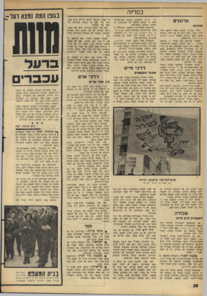 העולם הזה - גליון 1438 - 31 במרץ 1965 - עמוד 20 | במדינה ארגונים חדירות יהודי עבדקן, חובש כיפה ונושא בידו צרור נקוב, נראה רוכב על גבי חזיר, בכרזה אותה נשאו החודש מפגיני הלינה למניעת כפיה דתית בירושלים. ההסבר