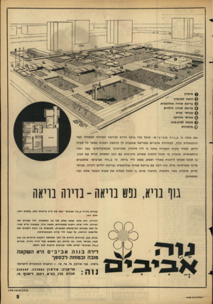 העולם הזה - גליון 1438 - 31 במרץ 1965 - עמוד 3 | מועדון רחבה למועדון בריכת שחיה אולימפית בריכת שחיה לילדים מגרשי טניס מגרשי כדורעף סככה לפינג־פונג מלתחות אם אתה גר ב,,נוהאביבים ״ תוכל מדי בוקר לרדת לבריכה