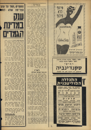 העולם הזה - גליון 1449 - 16 ביוני 1965 - עמוד 26 | במדינה ( ה מ שך מ ע מו ד ) 25 ׳ 1ח ר 1׳ 1ר 1ר אנשים עוברים גדיזנגוף * * תר 1׳ 1ת ר אנשים קונים ס קנ דינ בי ה תל-אביב, רח׳ דיזנגוף ,146 טל 231602 . ה רו ב ^זי ה
