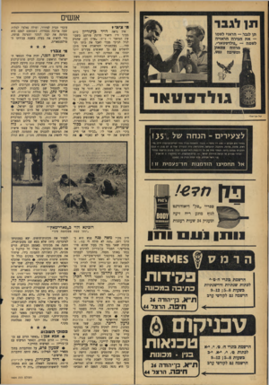 העולם הזה - גליון 1454 - 21 ביולי 1965 - עמוד 20 | אנשים תו לגבר מ ציוני תן לגבר — הראוי לשמו — א ת הבירה הראויה לשמה — ״גולדסטאר׳׳. ^ מרווה צמאו! * 1ומשיבה נפש. גו לד ס ט אר טל-אויאל• לצעירים ־ הנחה של 51ג ו