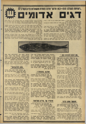 העולם הזה - גליון 1465 - 5 באוקטובר 1965 - עמוד 18 | בפעם הראשונה מאז קום המדינה — ולמעשה בפעם הראשונה מזה דור שלם — צפוייה סכנה למונופול של המפלגות הישנות. כוח חדש מאיים על מונופול זה. הוא מאיים לשבור את השלטון
