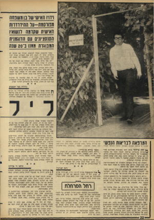 העולם הזה - גליון 1466 - 13 באוקטובר 1965 - עמוד 26 | וידויו האישי שר נו משנחה מנווסמת-ער ההיוודהת האישית שקומה לנשואי! הסנסציונים עם הדוגמנית המבוגרת ממנו ב־ 20 שנה באחד החופשים נסעתי לגרמניה. הכרתי שם חתיכה לא