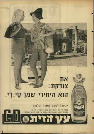 העולם הזה - גליון 1490 - 23 במרץ 1966 - עמוד 3 | ערנידן ורב בר ע ם 111 .411111 את צודקת: הוא היחידי טמן סי. ך. לבי/׳וול לטיגון לאפיה ו סל טי ם כבכל טנה ג ם הטנה זכה טמן אקסטרה סי. ך י. במקום ראטון במטאל עם