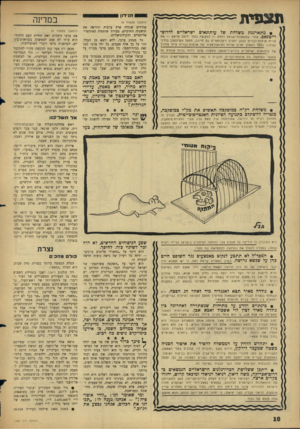 העולם הזה - גליון 1491 - 30 במרץ 1966 - עמוד 10 | ת צ פי ה הנידון במדינה (המשך מעמוד )8 שודדים שגזלה ארץ ערבית וגירשה את תושביה החוקיים, בעזרת שותפיה האימפריאליסטיים והקולוניאליים. כל מנהיג ערבי, ללא יוצא מן