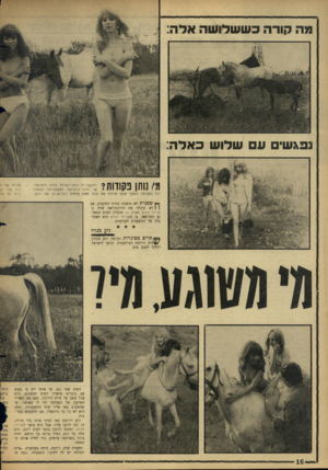 העולם הזה - גליון 1491 - 30 במרץ 1966 - עמוד 16 | סנה קורה כששלושה אדה: נפגשים ע שלוש כאלה: 1811:2 !!׳1ו!*§1 ן 14י1י * חי! טחן נקודות? ^ 111 הח שפניו ת הפאריסאיות לסוס הישראלי, או הסוס הישראלי לח שפניות? השאלה