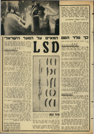 העולם הזה - גליון 1497 - 1 במאי 1966 - עמוד 25 | הכל התחיל לגמרי במיקרה: ד״ר אלכרט הופמן, כימאי כהכרת ״סנדוז״ השוויצרית, כידד אבקה לכנה מתוך־ ארגוט, עובש השיפון, והניח אותו למשמרת. חמש שנים אהרי־כן, הריח