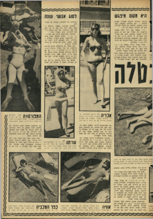 העולם הזה - גליון 1500 - 1 ביוני 1966 - עמוד 15 | היא משם מיפגש עליהם׳ כשלידם מונחים מאכלים שמנים וערבים — והם אוכלים. לפעמים, פעם ביום, מתחשק למישהו גם לקפוץ לבריכה, הוא לא מתבייש ועושה את זה. אודיה נמצאת קצת