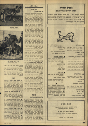 העולם הזה - גליון 1508 - 27 ביולי 1966 - עמוד 22 | מסביב למדורה למען השלום בווייטנאם תנועת העולם הזה -כוח חדש מזמינה אותך למיפגש שייערך ביום ששי 5 ,באוגוסט, בחוף תל־ברוך, בהשתתפותם של אנשי־ציבור, לוחמי-שיחרור