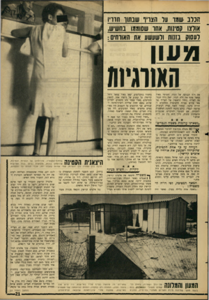 העולם הזה - גליון 1509 - 3 באוגוסט 1966 - עמוד 21 | הכלב שמד על הצריף שבתוך חדריו אולצו קטינות, אחו ששממו בחשיש, לעסוק בזנות ולשעשע את האווחים: מוווו האורגיזה את דלת הכניסה של הגדר. השומר מאיר עמאר סתח את דלת