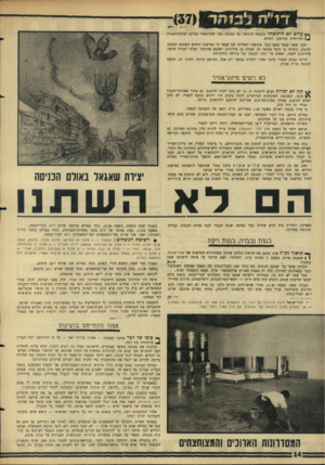העולם הזה - גליון 1514 - 7 בספטמבר 1966 - עמוד 14 | * * עו לםלאהרגש תי בכנסת הרגשה כה עגומה כמו שהרגשתי בסיום ישיבת־הפגרה המיוחדת במישכן החדש. יתכן שאני עצמי אשם בכך. איכשהו ד,שליתי את עצמי כי במישכן החדש תשתנה