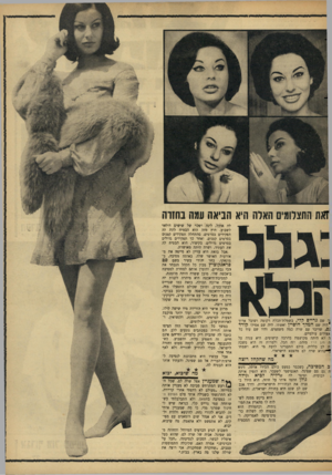 העולם הזה - גליון 1515 - 14 בספטמבר 1966 - עמוד 21 | זאת התצלומים האלה היא הניאה עמה בחזרה נה שם גדיים קלי, בשמלת־תכלת רקומה ושובל ארוך 4היה שם המלך חוסיין ואשתו, היה שם אפילו ק*רד , 0 :שדיבר עם שרה כמה משפטים,