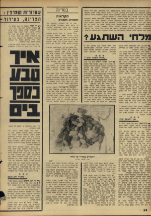 העולם הזה - גליון 1525 - 23 בנובמבר 1966 - עמוד 14 | מה שהתנהל השבוע בתוך או ל ם בית־המ שפט היה משעמם. אבל מ ה שהלך מסביב למשפטו של מל חי הי ה מעניין, חריף — אולי אפילו פסול. בתוך ה אול ם, בשלב של דברי־סיכום