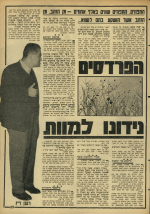 העולם הזה - גליון 1526 - 30 בנובמבר 1966 - עמוד 13 | החפוזים. התטזים שווים בארו אחוזים 13 -הזהב, מן הזהב אשד הושקע בהס לשווא... ך* שנת ,1953 בעיצומה שי תקופת! הצנע, נתפסה המדינה בפסיכוזה של נטיעת פרדסים. איפה לא