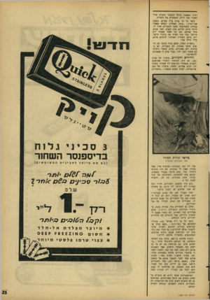 העולם הזה - גליון 1529 - 21 בדצמבר 1966 - עמוד 21 | רגייג ואסאנה. הרעל המפוזר בשדות שייך לחברי כפר דרום, המעבדים את השדות. סיפר על כך סביח עייד אטרש, משבט אבו־רגייג :״בזמן האחרון, כשלא מצאתי עבודה, התפרנסתי משני