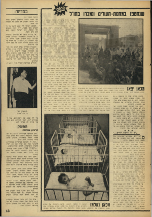 העולם הזה - גליון 1532 - 11 בינואר 1967 - עמוד 13 | במדינה שנחטפו במחנות־העודים תמכה בחו״ל את רצונו לחדול מלראיין אישים כאלה כבר מאותו השבוע. אך לזאת לא הסכימו בני שיחו. הסיבה: לאותו ליל שבת הוזמן אל ה־קאברט איש