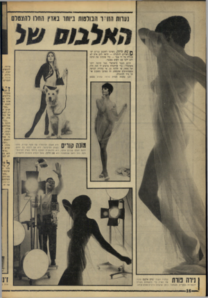 העולם הזה - גליון 1534 - 25 בינואר 1967 - עמוד 16 | נעוות הזוחך הבולטות ביותו באוץ החלו להצטלם ך * ע ם, מזמן, כשרצו לשכנע גברים יש־ ^ 2ראליים להתגלח — הראו להם איש לא מגולח על יד צבר — כדי שיבינו את הרמז ולא