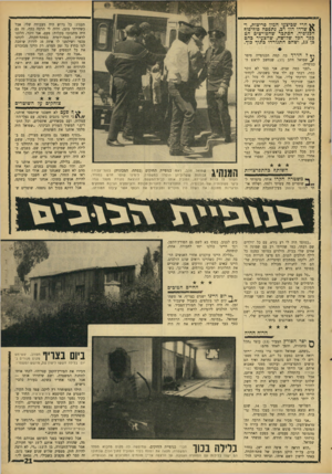 העולם הזה - גליון 1545 - 12 באפריל 1967 - עמוד 21 | ־ >£וחו<^וזו,מ^וווווו1וו^וי 1 חדי שביצעו המון פריצות, ו־ ^ שדדו הון רב, נתפסה סוף־בון? הכנופיה. הסתבר שהפורצים הם כסר הכל שלושה, שהצעיר בהם כן ,13 ושהם התגוררו