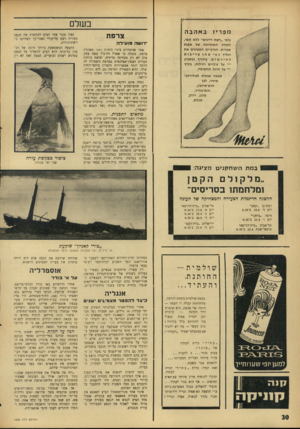 העולם הזה - גליון 1545 - 12 באפריל 1967 - עמוד 30 | מפריז באהבה גרבי ״רשת דייגים״ ללא תפר, המלה האחרונה של אפנת פאריס. הגרביים המציגים את כ פי ש הן צריכות להיראות. בחורף ובאביב — על גרביים רגילות, בקיץ — על הרגל