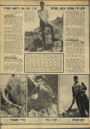 העולם הזה - גליון 1547 - 25 באפריל 1967 - עמוד 11 | הזקן הבין שסכנה נוראה מא״מח מסגרי מכונות. הצעיר שבהם גמר זה עתה. המבוגר — בן 25־ 26 לכל היותר — גמר יפני כשנה. שאלתי אותו :״אז מה אתה עושה כאן? למה אתה לא עובד