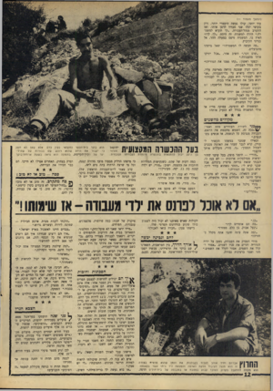 העולם הזה - גליון 1547 - 25 באפריל 1967 - עמוד 12 | (המשך מעמוד )11 עוד יותר, קולו נעשה היסטרי יותר, ורק בקושי יכלו שני חבריו לרסן אותו. ואז התערב מנהל־העבודה .״לך תקרא למשטרה,״ הורה למשגיח. זה היסס .״לך, לך!״
