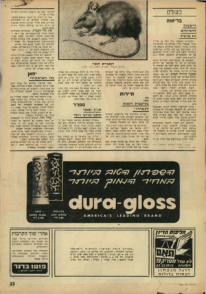 העולם הזה - גליון 1556 - 28 ביוני 1967 - עמוד 23 | בשל המקומי, אלא גם מייצאים למדינות דוברות ספרדית אחרות. אחר כך הופיעו על הבמה הרוסים המדפיסים, למטרות תעמולה, לא רק קלסיקונים ספרדיים אלא אפילו יצירות דתיות
