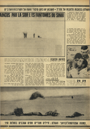 העולם הזה - גליון 1556 - 28 ביוני 1967 - עמוד 9 | העורס בבהמת זרהבות ער צה׳ ל-השבוע יש בהם סינורי זוועה ער הקורבנות הערב־, היה להפעיל מטוסים והליקופטרים, להמטיר מנות מן האוויר, לפזר מעל לחיילים הנודדים כרוזים,