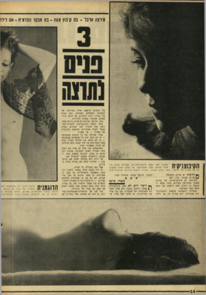העולם הזה - גליון 1561 - 2 באוגוסט 1967 - עמוד 14 | תירצה ארבל -בת קיבוץ מעוז -בת *פסל הפלוז״ ח -אס לילד הקיבוצניקית לדוגמנית־עירום, מצטיינת בפנים מיו־ומלאי־אופי. מה שלא רואים בתמונה, זה את צבעיה של תירצה: שיער