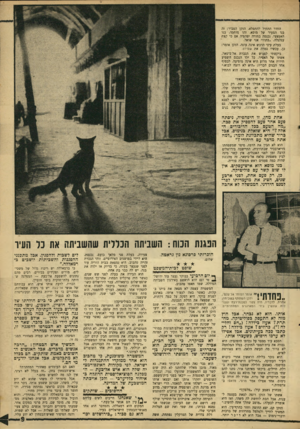 העולם הזה - גליון 1563 - 16 באוגוסט 1967 - עמוד 9 | החדר התחיל להתמלא. הזקן הסביר: זד, בנו הצעיר של מוסא. זהו מוחמר, בנו האמצעי. נכנסה בחורה יפר,פיה אם בי קצת עגלגלה .״בתוז״ אני שואל. בעלת עיני הדבש אינה עונה.