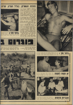 העולם הזה - גליון 1567 - 13 בספטמבר 1967 - עמוד 16 | בקיבוץ הגושוים, בגליל העליון, קווים ך• ש בו עהיאשץ להכרמת טוביה ושבע• בנותיו, בעיירה היהודית הטהורה שהוקמה ליד משק הגושרים, לא הרחק מן הגבול הסורי ז״ל, נערך