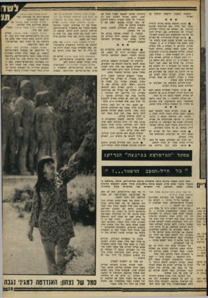 העולם הזה - גליון 1600 - 1 במאי 1968 - עמוד 19 | ההפגזה נמשכת. האוויר. הרעשה רביעית ס : 15.00 מהמטה מגיעה פקודה להחזיק מעמד בכל מחיר. אש התותחים שוככת במיקצת. אנו מנצלים את ההקלה ושולחים לעמדות תה וסנדביצ׳ים.