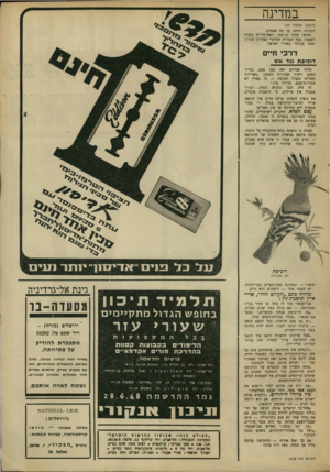 העולם הזה - גליון 1608 - 26 ביוני 1968 - עמוד 31 | במדינה (חמשו מעמוד )29 דברניה, היתד. עד כה אפסית. האיש: עובד בן־עמי, ראש־עירית נתניה לשעבר, בעל המניות העיקרי בצד,רון מעריב ואחד מגדולי עשירי ישראל. דרכי חיים