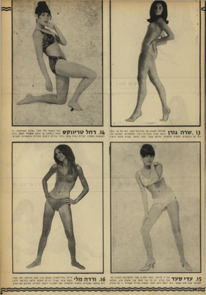 העולם הזה - גליון 1610 - 10 ביולי 1968 - עמוד 30 | מסיימת השבוע את הטידונות שליה. היא בתי , 18 ולפני גיוסה עבדה כמזכירת גיזבר ההסתדרות. הספילן ה להו־פיע גס כדוגמנית, לעיתים מזומנזת. בחודשו שעבר זכתה בתואר