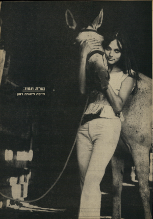 העולם הזה - גליון 1620 - 18 בספטמבר 1968 - עמוד 27 | 