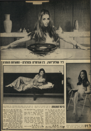 העולם הזה - גליון 1621 - 25 בספטמבר 1968 - עמוד 15 | ליד שולחן־העץ, ביו אגרטלים ופסלונים־ המארחת הזוהרת! פינת־המנוחה יושבת דליה בשעת־דימדומים, כשהשמש שוקעת באופק. פניה משתנות כשהיא לישראל. כאן היא מפיגה את המתח