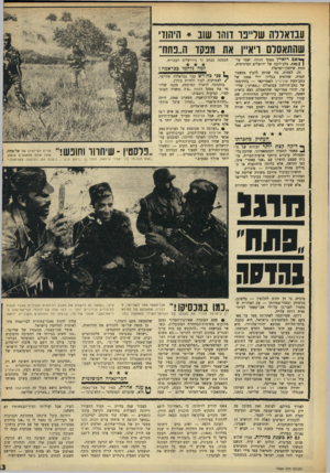 העולם הזה - גליון 1624 - 16 באוקטובר 1968 - עמוד 13 | לדברי שלייפר, באותו מאמר, הוא ריא־יין את יאסיר ערפאת ושמע מפיו שורה שלימה של הצהרות מפוצצות. … שרים הפידאיון של אל־פתח, שעה שהם מתאמנים בנשק. **יייי 1י ״עצם